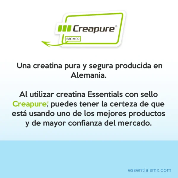 ESSENTIALS CREATINA SELLO CREAPURE 300 GR 60 PORCIONES - Image 3